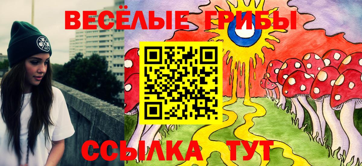 Псилоцибиновые грибы ЛСД Сунжа