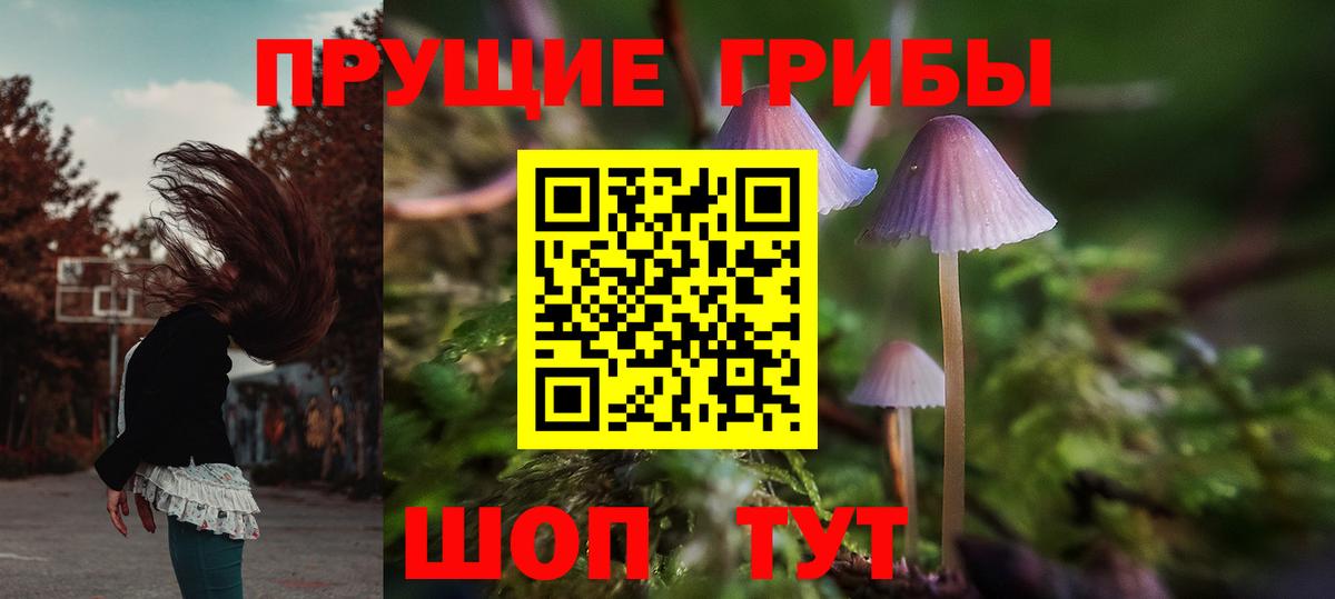 Псилоцибиновые грибы ЛСД  Вход с VPN  Сунжа  как найти закладки  Галлюциногенные грибы Psilocybine cubensis 